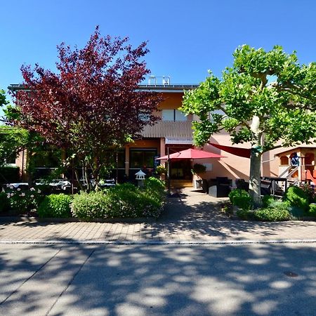 Hotel Hoellsteiner Hof Steinen  Dış mekan fotoğraf